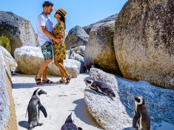 Boulders Beach, colonizzata dai pinguini