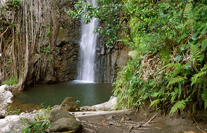 visitare Dark View Falls Vacanza a Saint Vincent e Grenadine