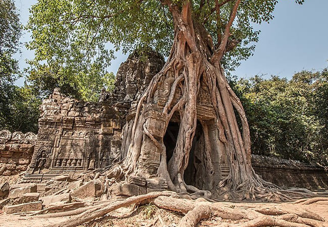tempio Ta Som viaggio in Cambogia