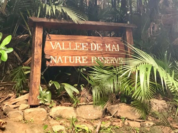 Vallée de Mai, una riserva naturale protetta dall'UNESCO