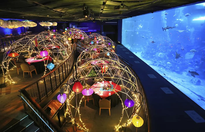 Cena di Natale sottomarina ristorante Ocean a Singapore 