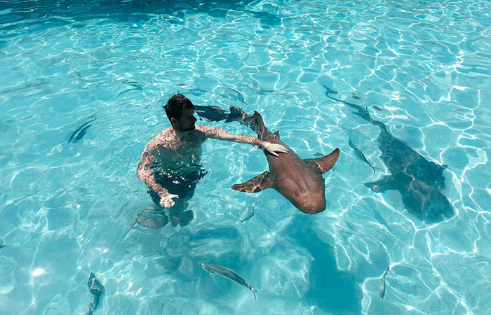 nuotare con gli squali Compass Cay