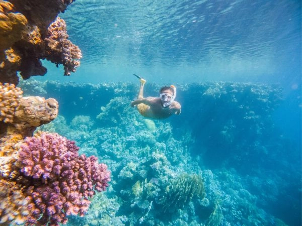 barriera-corallina-delle-maldive