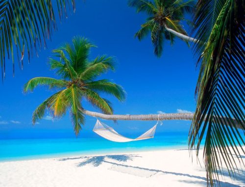 Dove si trovano le Maldive? Scopri questo paradiso terrestre