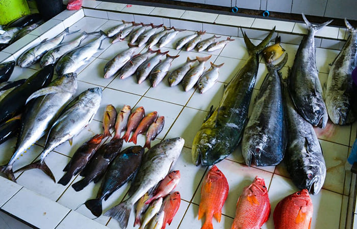 visitare il Fish Market e il Local Market di Malé