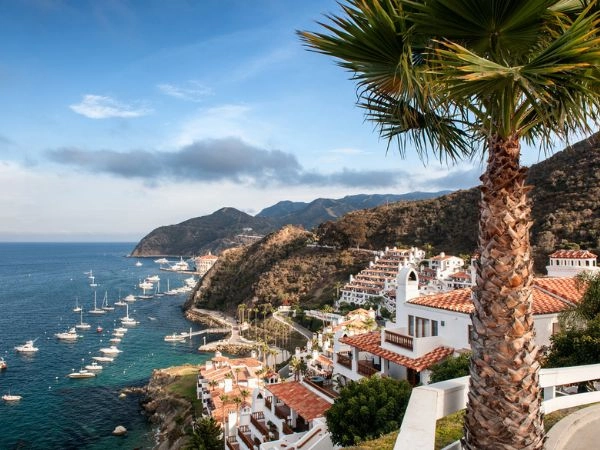 isola di catalina california