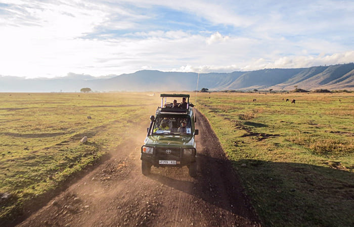 safari nella Ngorongoro Conservation Area agenzia viaggi