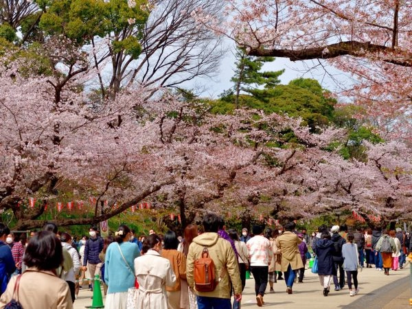visitare il Parco di Ueno in Giappone