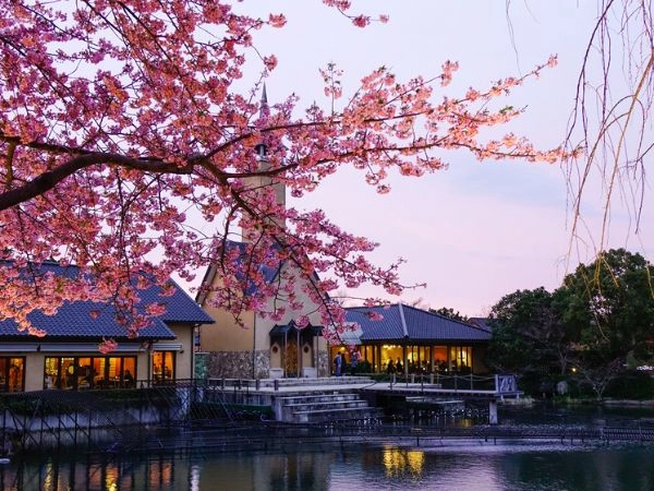visitare il giardino Kenrokuen a Kanazawa in Giappone