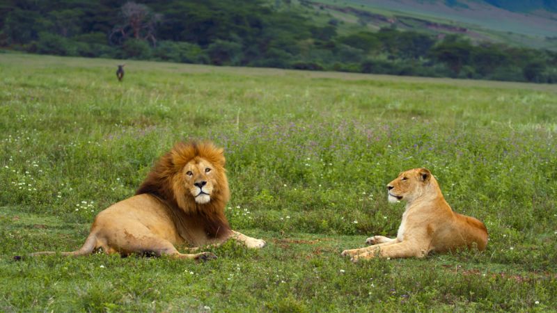 viaggio in Tanzania
