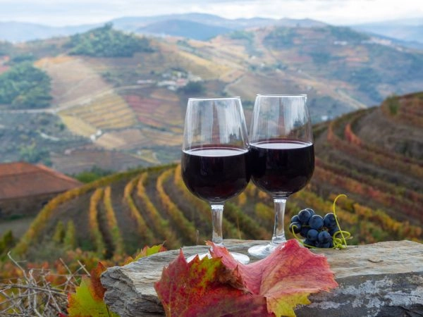 vacanze estive nella Valle del Douro agenzia viaggi