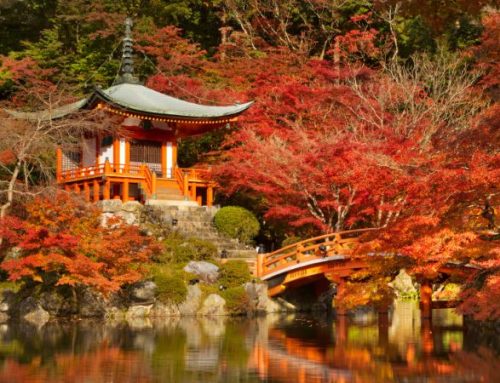 Autunno Giapponese