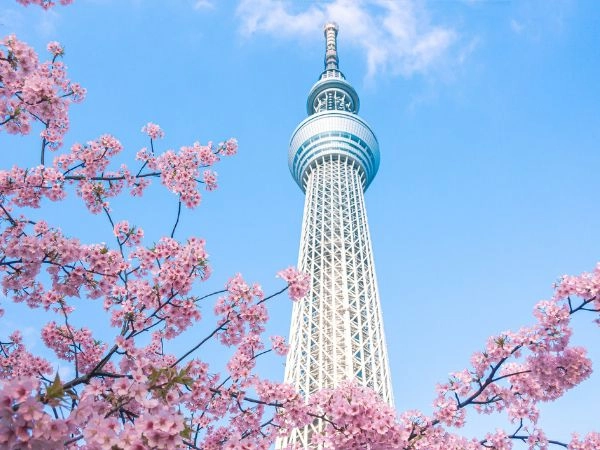 SKY Tree, per ammirare un panorama della città di Tokyo