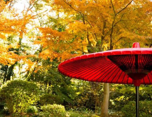 Autunno Giapponese