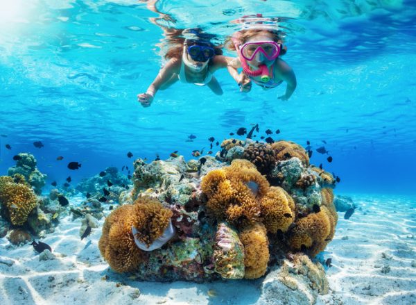 Fare-snorkeling-rispettando-la-natura-e-prioritario-alle-Maldive