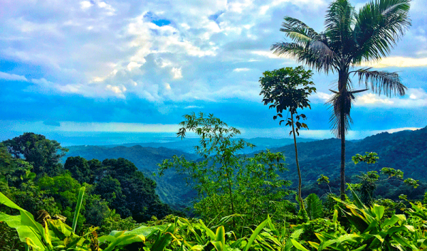 el yunque puerto rico
