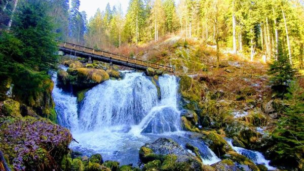 viaggio in germania