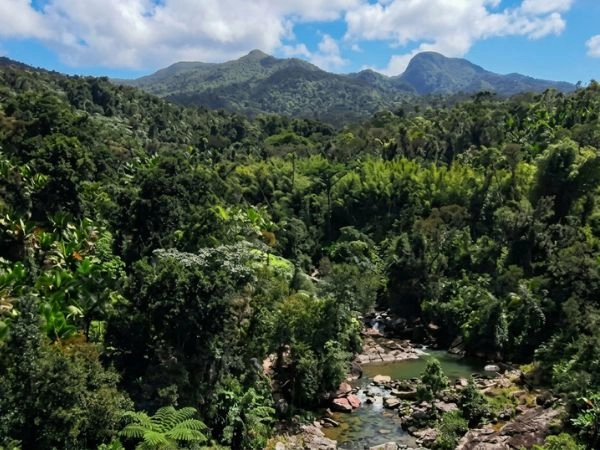 visitare El Yunque che si trova nella parte nord-orientale di Puerto Rico