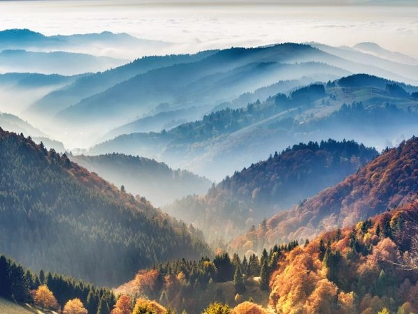 Fare un’escursione nella Foresta Nera