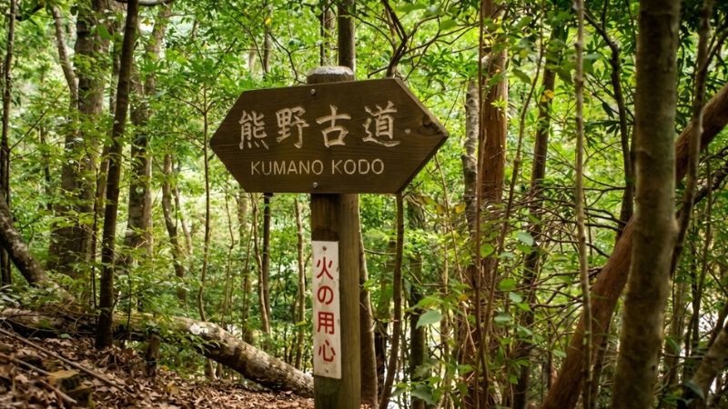 Camminare lungo il percorso di Kumano Kodo