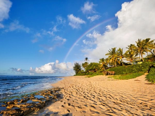 Fare surf a Oahu Hawaii