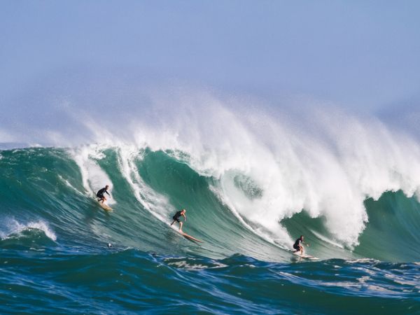 Surfisti durante una gara di surf a Oahu, Hawaii
