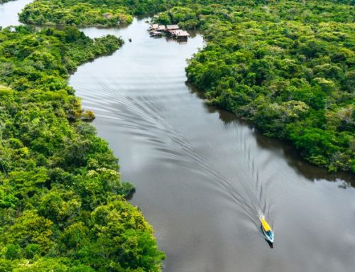 Esplora la verdissima Amazzonia, con una crociera fluviale sul Rio delle Amazzoni