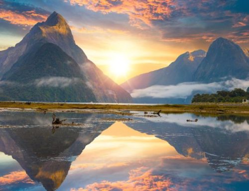 Viaggio in Nuova Zelanda, dove sogni ed avventure prendono vita