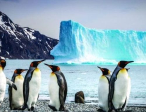 Crociere di lusso “Expedition”: le 10 migliori nell’Artico e nell’Antartide