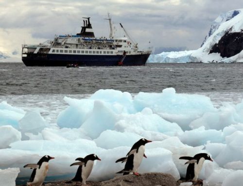 Crociere di lusso “Expedition”: le 10 migliori nell’Artico e nell’Antartide