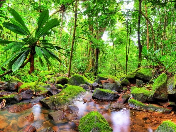 Attraversare il Parco Nazionale di Masoala e la foresta tropicale del Madagascar