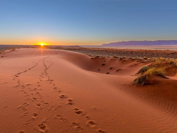 Esplorare il Kalahari e i suoi paesaggi selvaggi dell’Africa australe