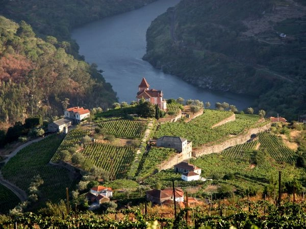 Percorrere la Valle del Douro tra vigneti e paesaggi del Portogallo