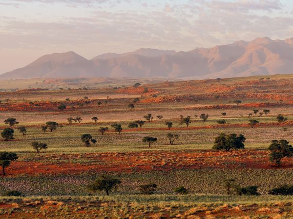 Namib Rand Nature Reserve