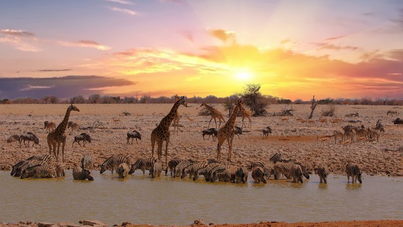 Viaggio di gruppo Africa in volo