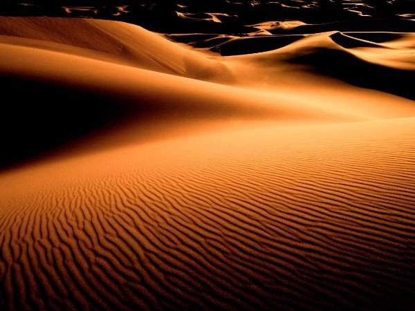 Deserto del Gobi in Mongolia, tra dune e steppe immense