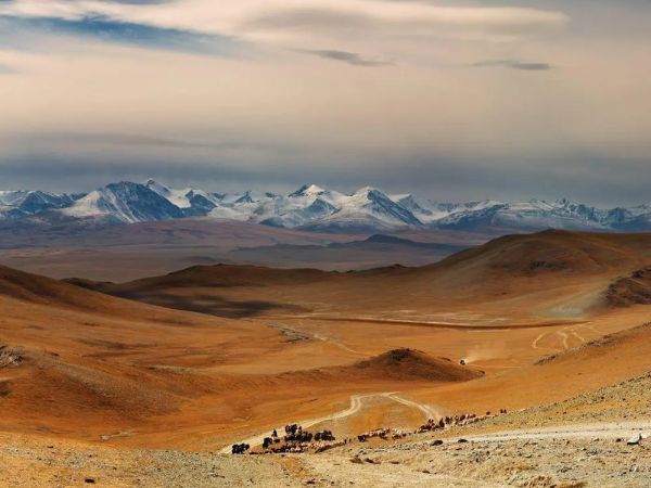 Viaggio di gruppo in Mongolia
