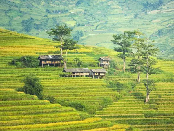 Sapa, Vietnam