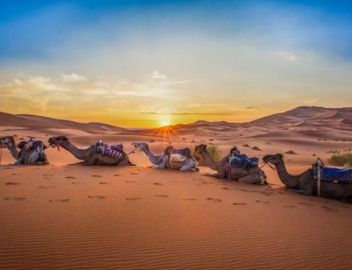 Marocco Experience: ‘La Magia dei Colori’ – Partenza 27 ottobre-Gruppo Max 12 Persone con guida privata esperta parlante italiano