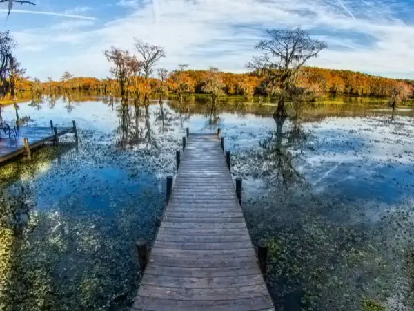 Caddo Lake