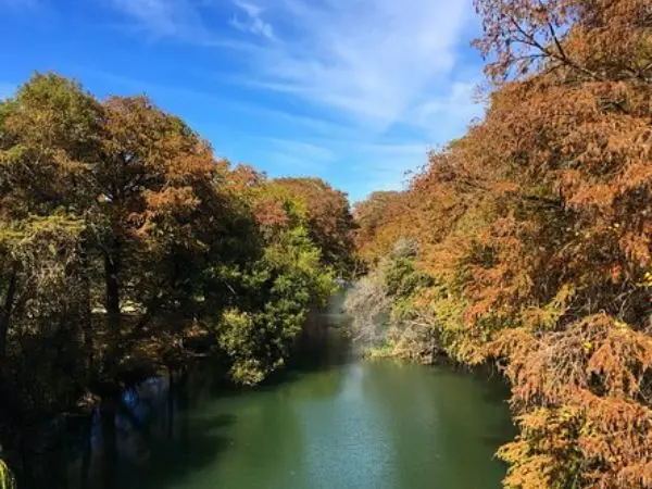 Medina River