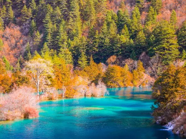 Parco Nazionale di Jiuzhaigou