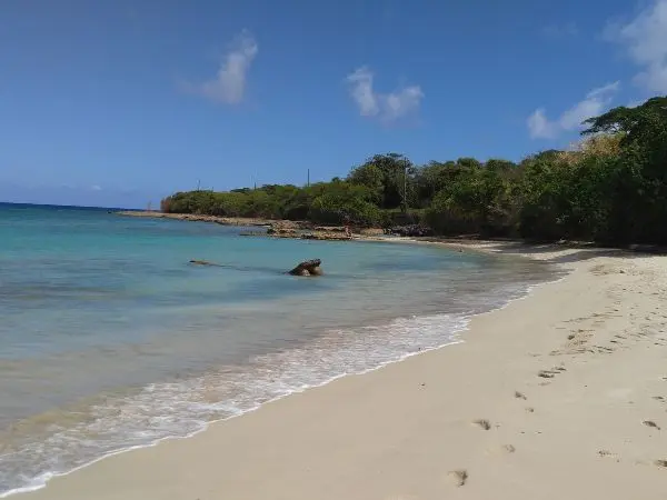 Hidden Cove Beach