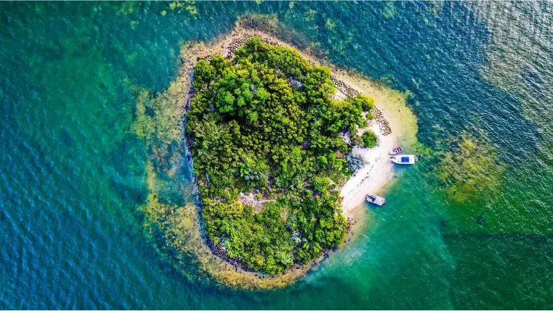 Scopri Raccoon Island, un'oasi di pace a due passi da Miami