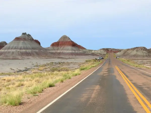 Petrified Forest National Park