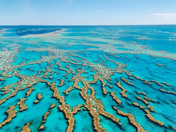 Grande Barriera Corallina, paradiso sommerso lungo la costa australiana