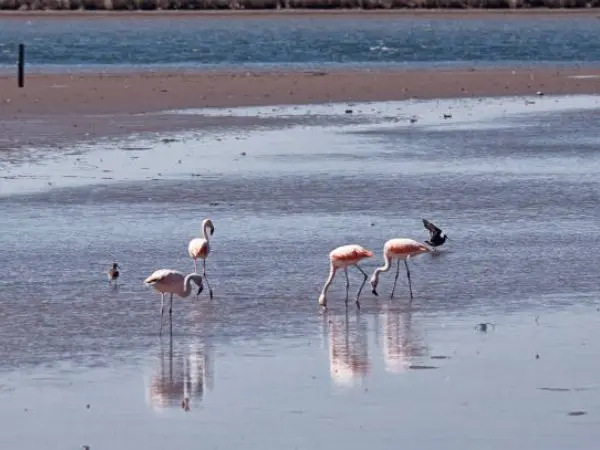 Laguna Mar Chiquita