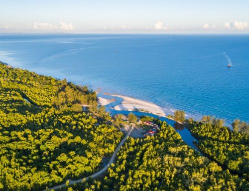 Escursioni nella foresta pluviale del borneo: biodiversità e culture straordinarie