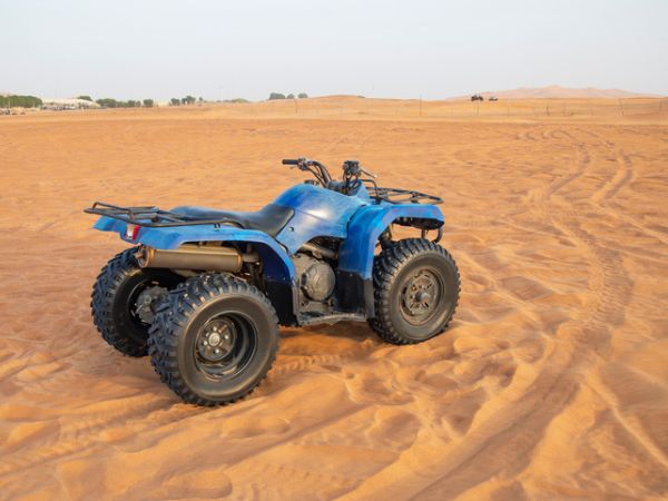 Safari in 4x4