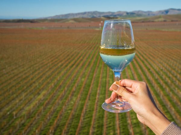 Degustazioni private
